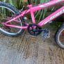 Power kids bike Image 3