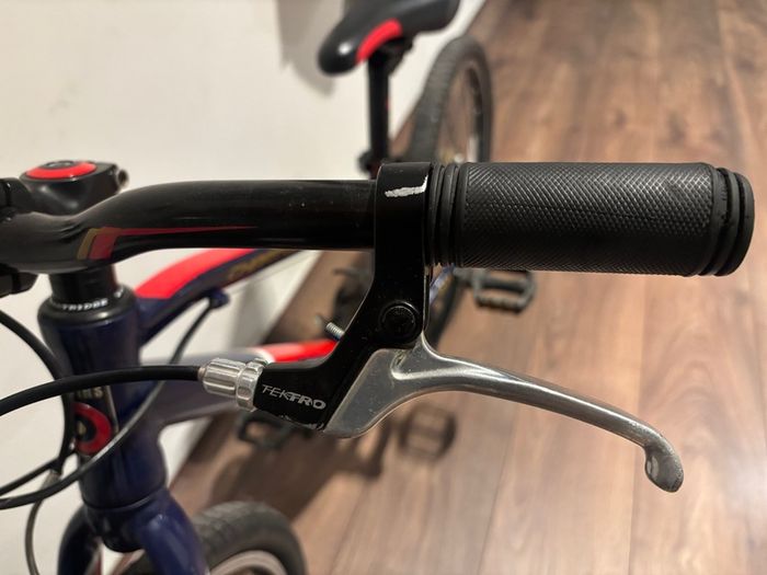 Wiggins 20" kids bike