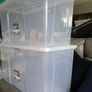 Crystal 110 Litre storage boxes Image 3