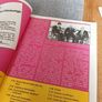 1981 Hurling final Galway V Offaly programme Image 5