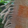 Vintage Wool blanket Image 7