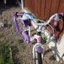 Girls bike Image 4