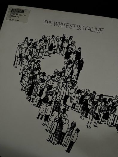 2009 Rules The whitest Boy Alive 12" vinyl