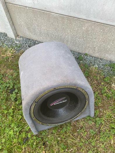 sub-woofer speaker