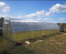 Greenhouse