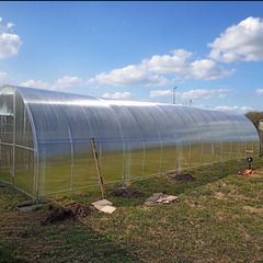 Greenhouse