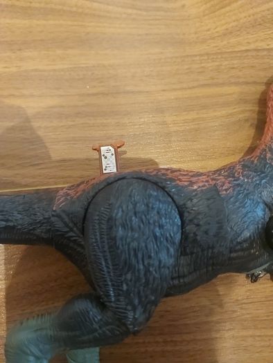 Dinosaurs