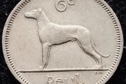 [#358] - Ireland 1964 | MINT ERROR | Irish 6p | Six Pence | Wolfhound | KM.13a