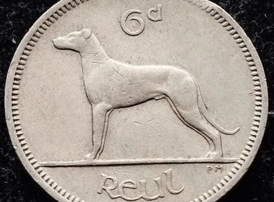[#358] - Ireland 1964 | MINT ERROR | Irish 6p | Six Pence | Wolfhound | KM.13a