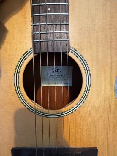 SX Custom Guitar