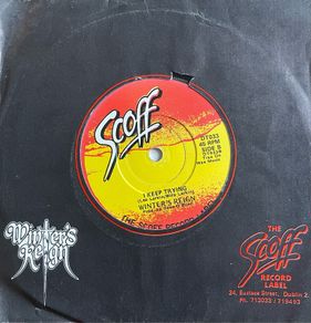 Rare Winters Reign vinyl record Save It