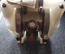 Wilden Pump Mi/pt/tf/tf/pt