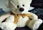 Cream Bear with Gold Bow - Medium sized
