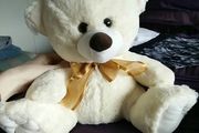 Cream Bear with Gold Bow - Medium sized