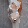 Life Size Flexible Knee Joint Anatomical Model Skelton Functional Ligament Medical Model in Perfect Condition Image 9