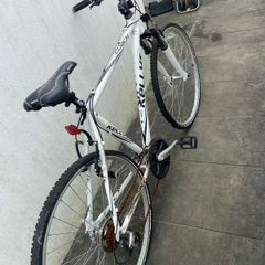 Free bikes