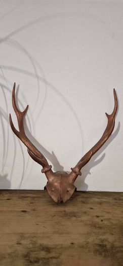 deer antler