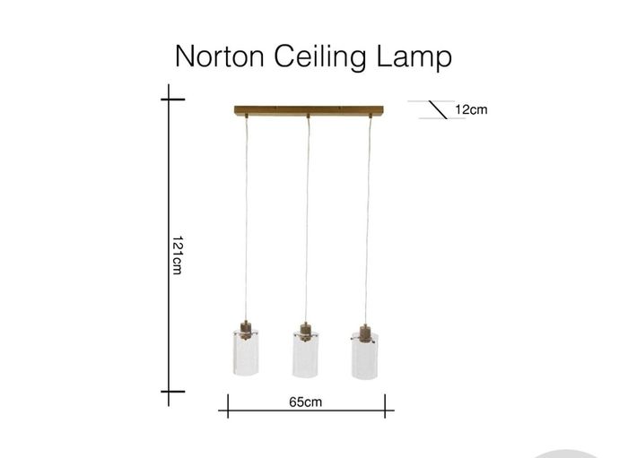Ceiling Light Fixture (EZ Living)