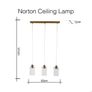 Ceiling Light Fixture (EZ Living) Image 6