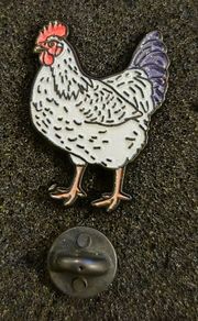 Chicken, pin back badge.