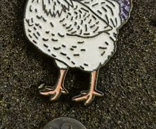 Chicken, pin back badge.