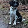 Missing from Dundrum,Tipperary: Cash Reward Image 2