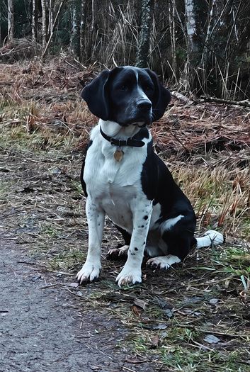 Missing from Dundrum,Tipperary: Cash Reward