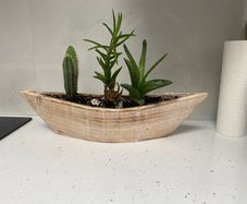 Free indoor plant