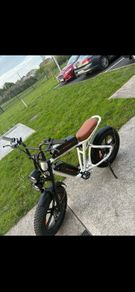 Electric bike (M20) 750W