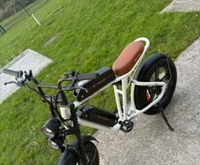 Electric bike (M20) 750W