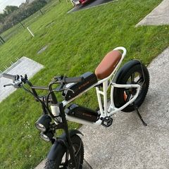 Electric bike (M20) 750W