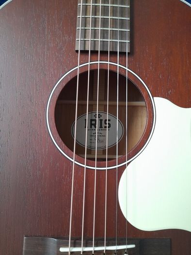 Iris Guitar Company Og All Mahogany
