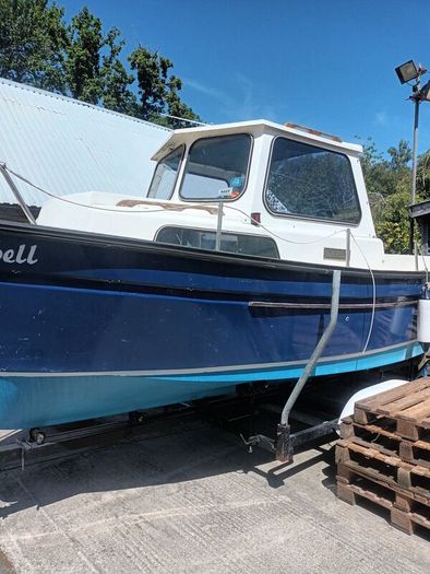 SEA Boat with trailer