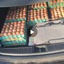 free range eggs Image 2