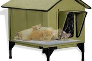 Outdoor Cat House