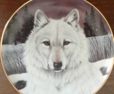 Wolf plate