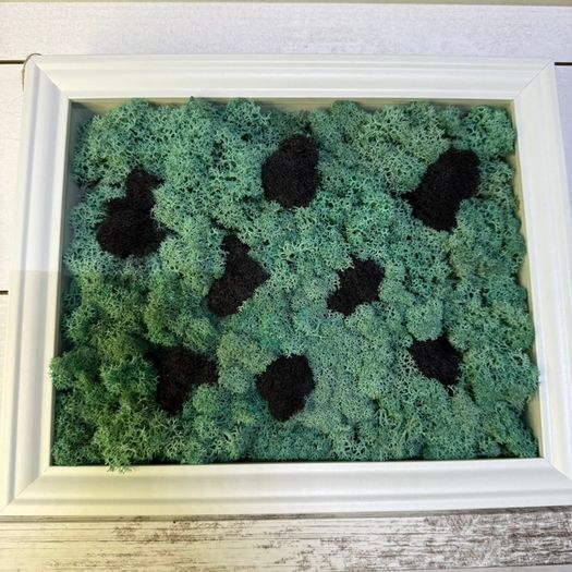 Frame 04 - 20x25cm natural moss