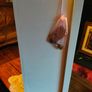 Handcrafted wedding post box for hire.  local collection. Can deliver for extra charge. . Deposit secures Date. Box Fitted with lock and key. Image 5