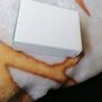 1990 Ireland Silver Proof 10 ECU Coin Image 3