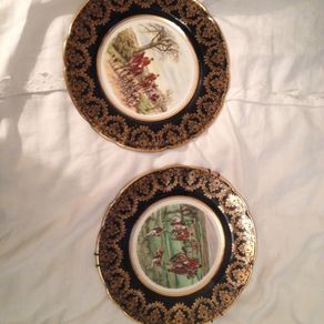 Plates - Arklow