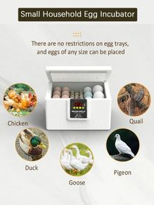 Thermostatic Incubator Manual Turnover USB Poultry Egglighter