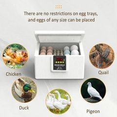 Thermostatic Incubator Manual Turnover USB Poultry Egglighter