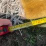 Extra Large Antique Rug Image 8