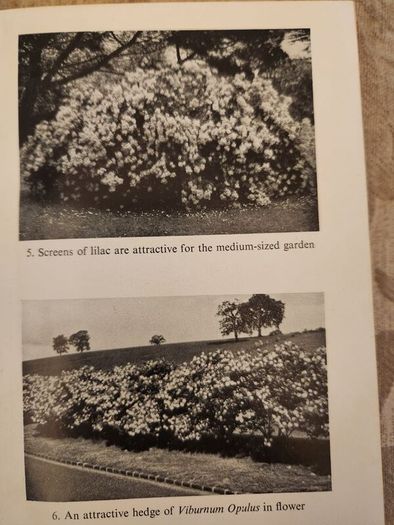 Colour Hedges. By J.l. Beddal.n.d.h. Published By The Gardening  Book Club London. First Editions  1953. Hardback In Good Condition. 36.
