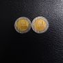 Israel Coins : 10 New Sheqalim (2) - 1995 Image 2