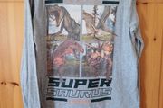 Age 9-10 Dinosaur Top