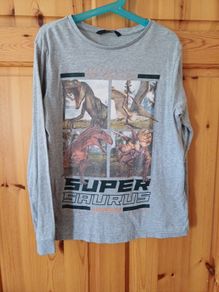 Age 9-10 Dinosaur Top