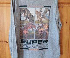Age 9-10 Dinosaur Top