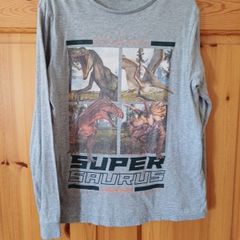 Age 9-10 Dinosaur Top