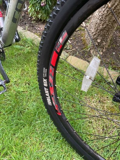 Carrera Mountain Bike silver/red